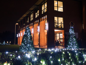 Christmas lights on campus