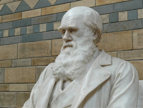 Statue of Charles Darwin