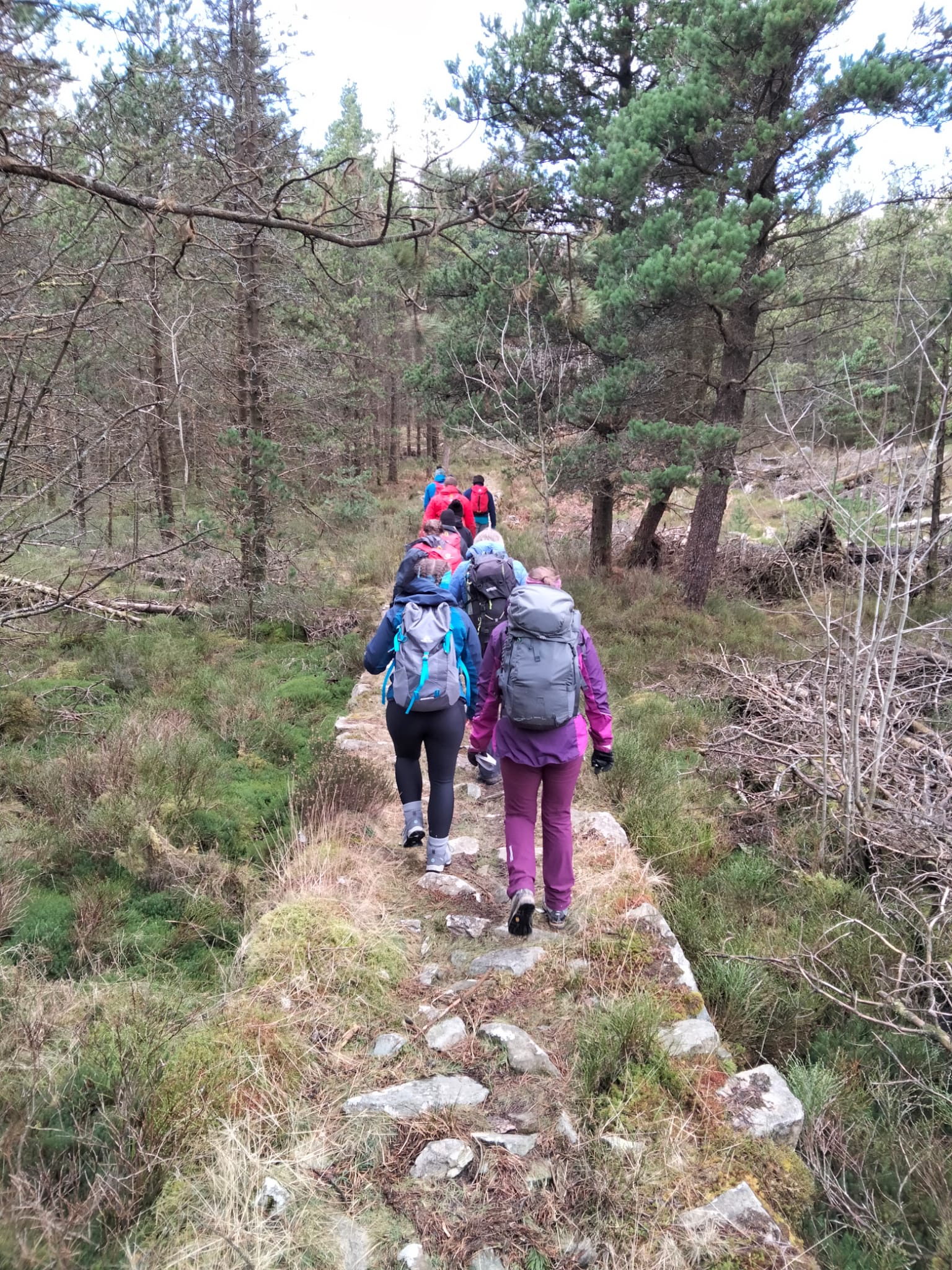 students walking through woodland