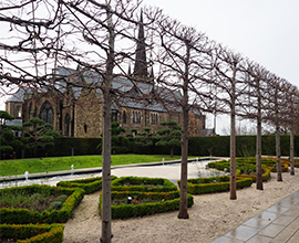 The Angel Field Garden at the Creative Campus